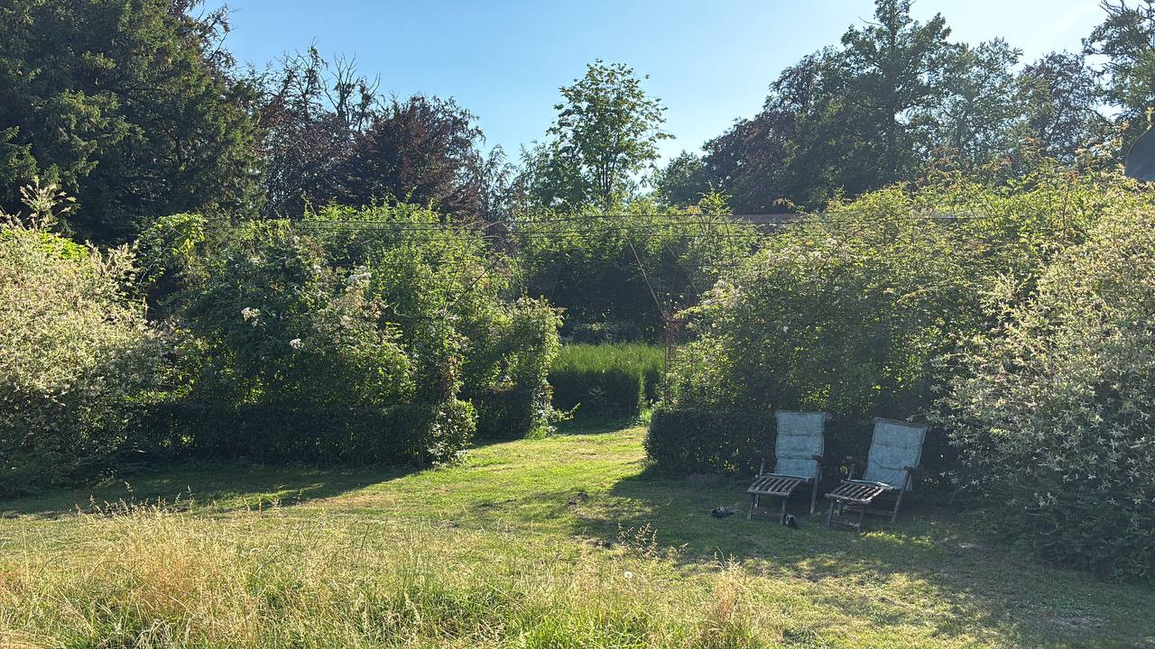 Twee oude ligstoelen in het hoge gras bij een hutje in de Ardennen